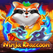 Ninja Raccoon